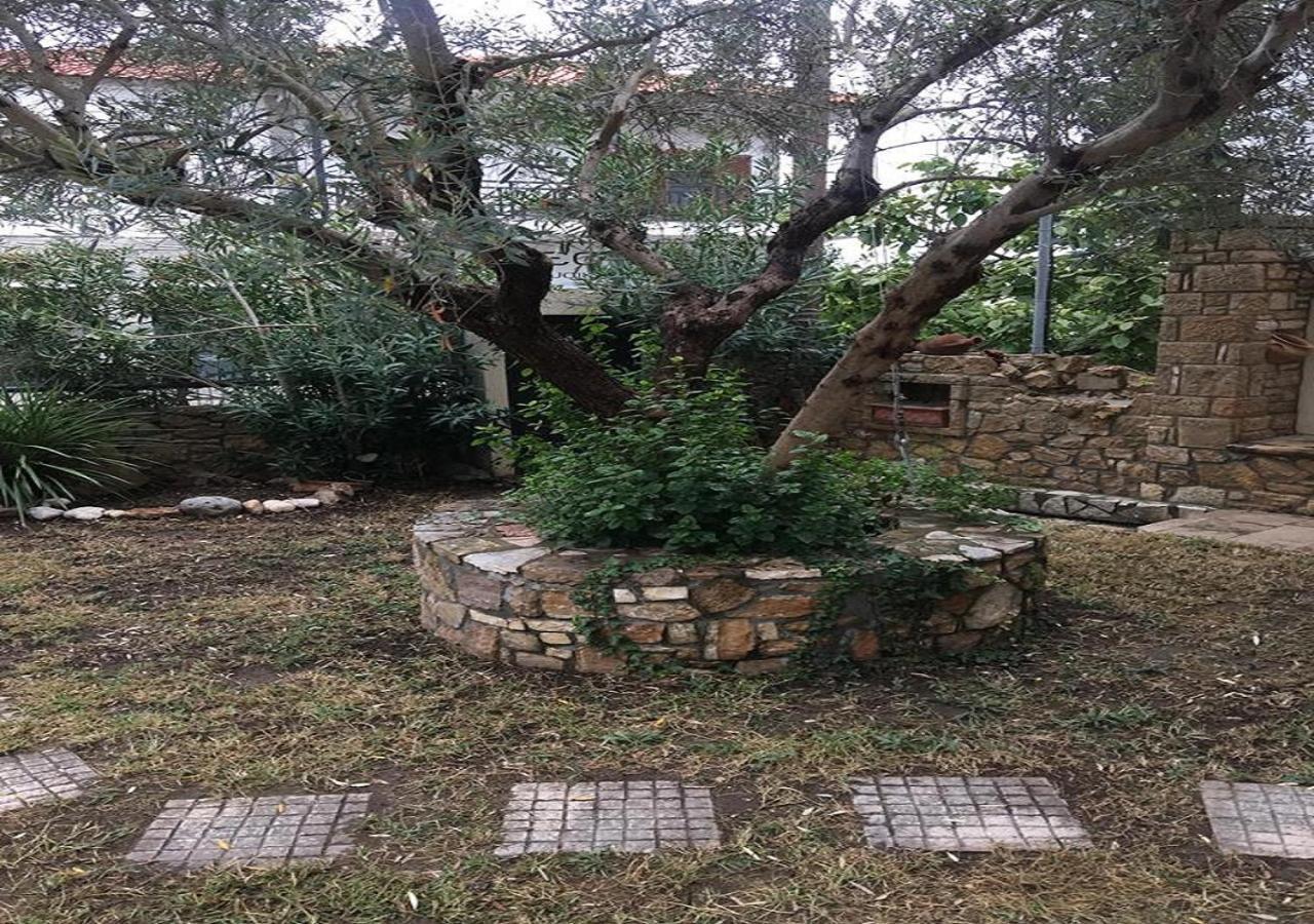 Apartment Aslanis-souroti Garden Family *